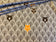 Cotton Fabric - Peek-A-Boo in the Forest Bear and Raccoon Grey