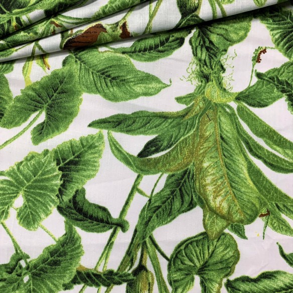 Cotton Fabric - lily Green