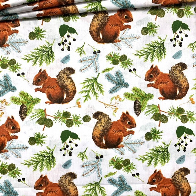 Cotton Fabric - Squirrel