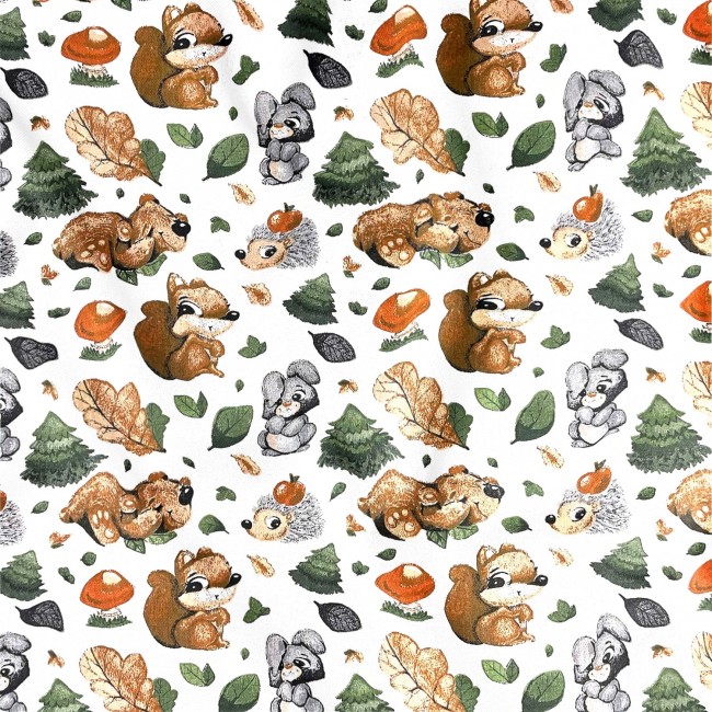 Cotton Fabric - Squirrel and Friends