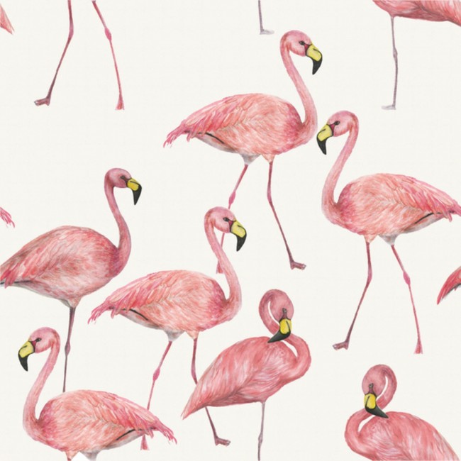 Single Jersey s potlačou - Flamingo