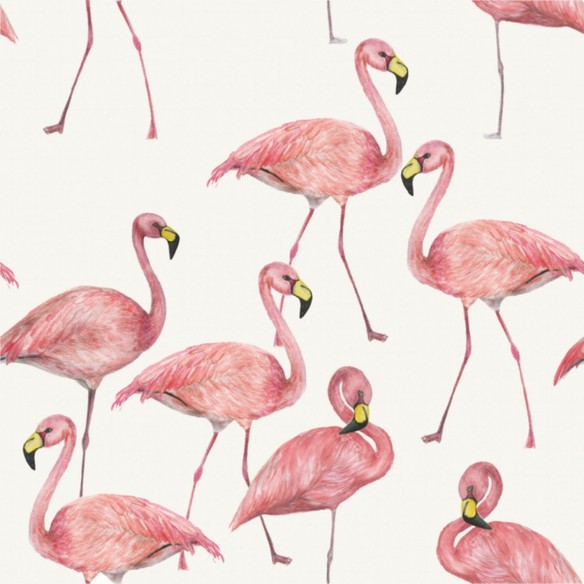 Printed Single Jersey - Flamingo