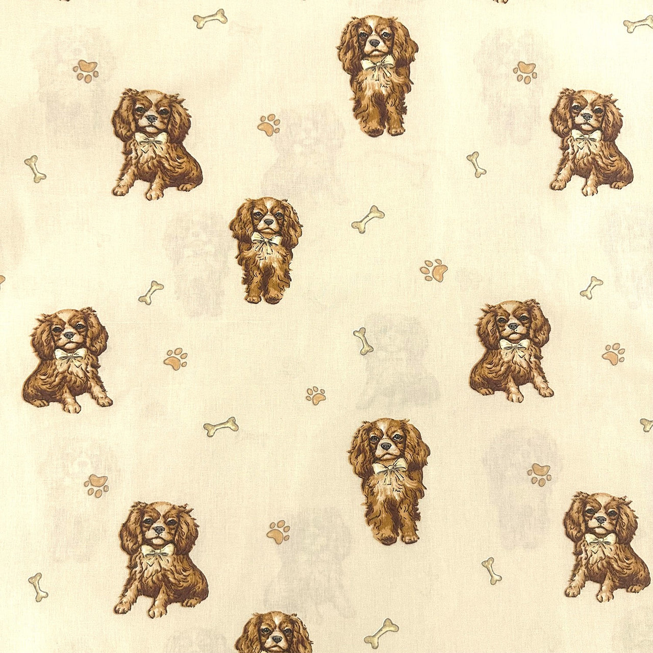 Cotton Fabric - Cavalier, Latte