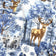 Cotton Fabric - Christmas blue landscape