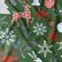 Cotton Fabric - Christmas snowflakes and Reindeer, Green