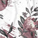 Cotton Fabric - Protea Flower, burgundy