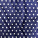 Cotton Fabric - Stars on Navy Blue