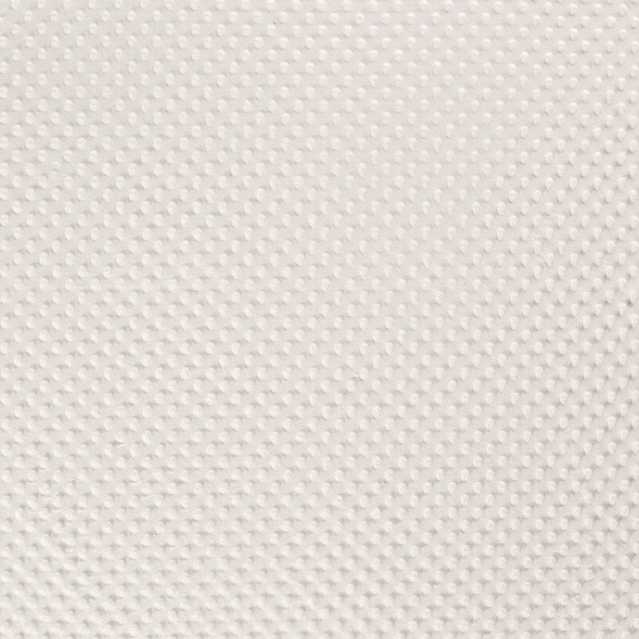 Minky Fabric 300 g - Ecru